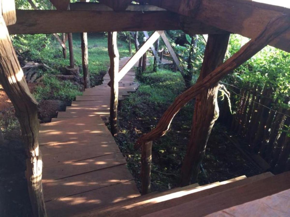 Tree Top Eco-Lodge Banlung Extérieur photo