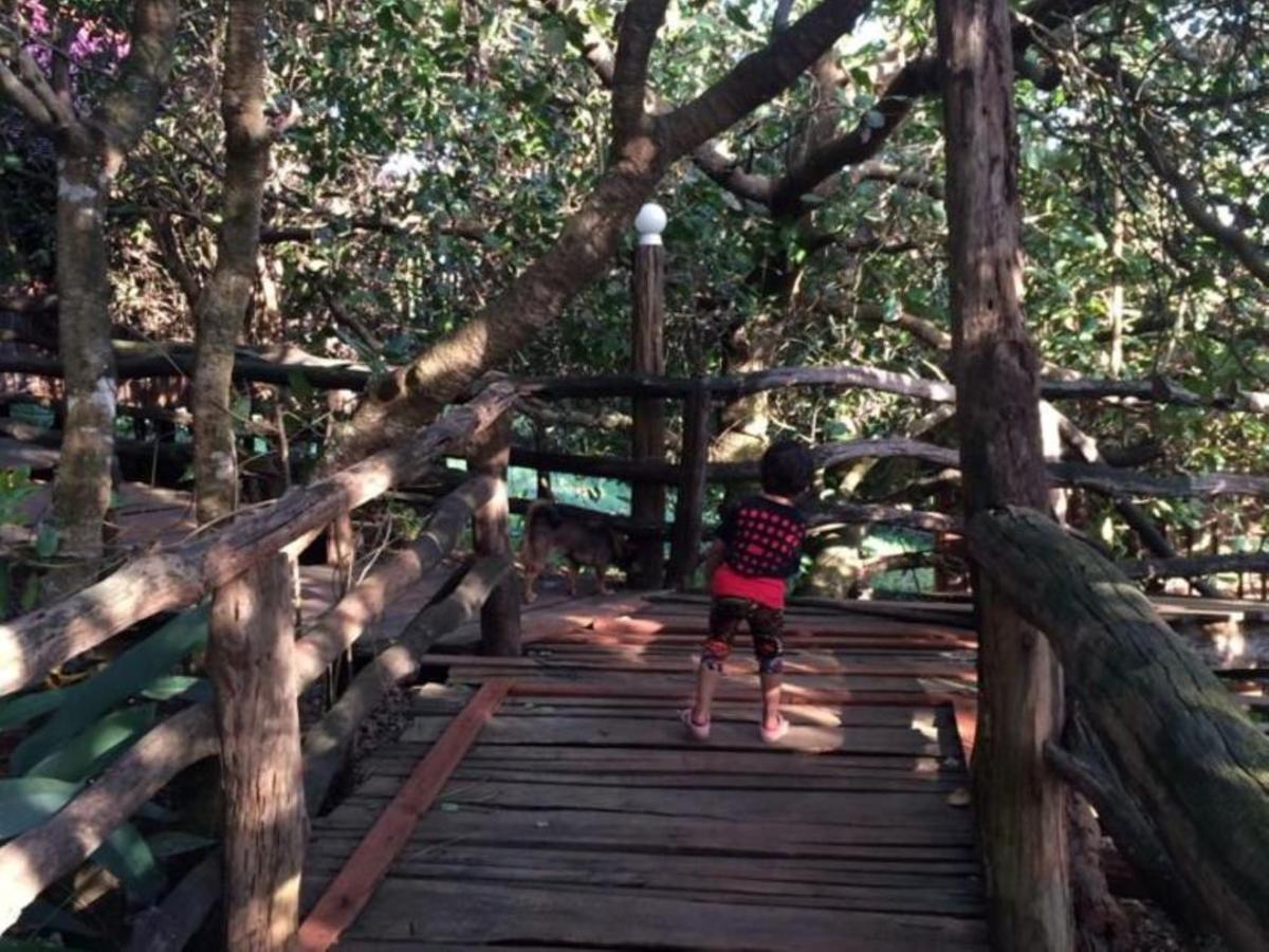 Tree Top Eco-Lodge Banlung Extérieur photo